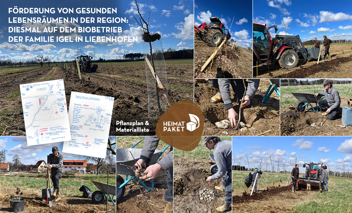 SK Bodensee Pflanzung regiotv CarboCert